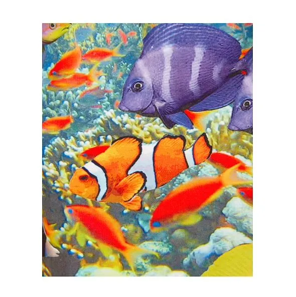 Boys Aquarium Swim Shorts