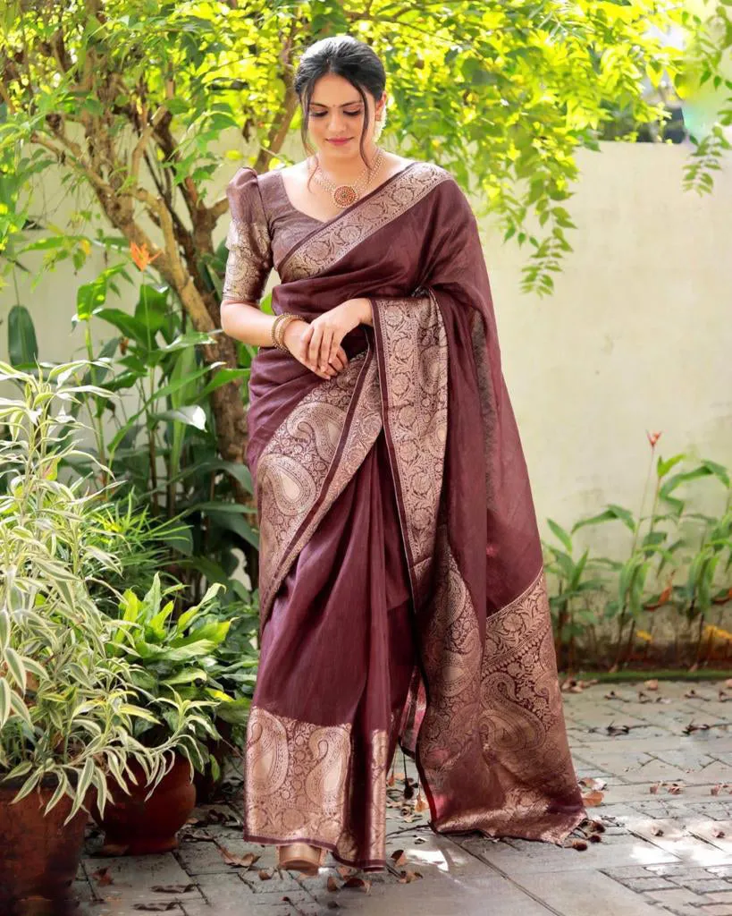 Flaunt Brown Soft Silk Saree With Fancifull Blouse Piece