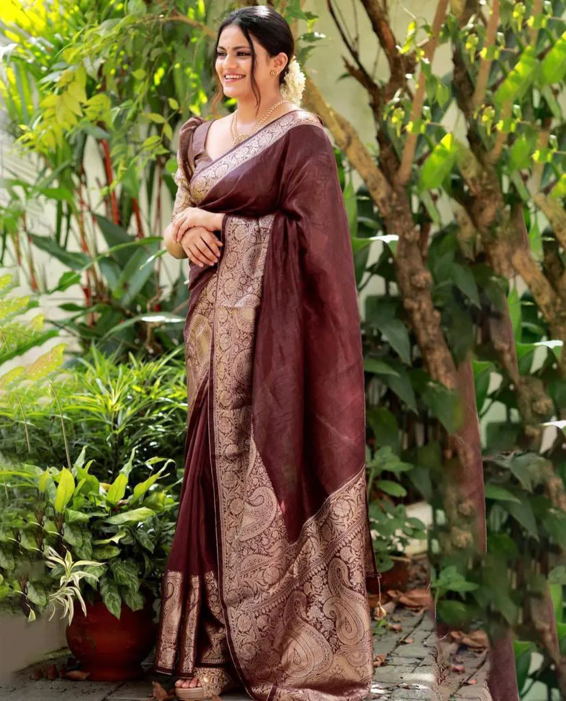 Flaunt Brown Soft Silk Saree With Fancifull Blouse Piece